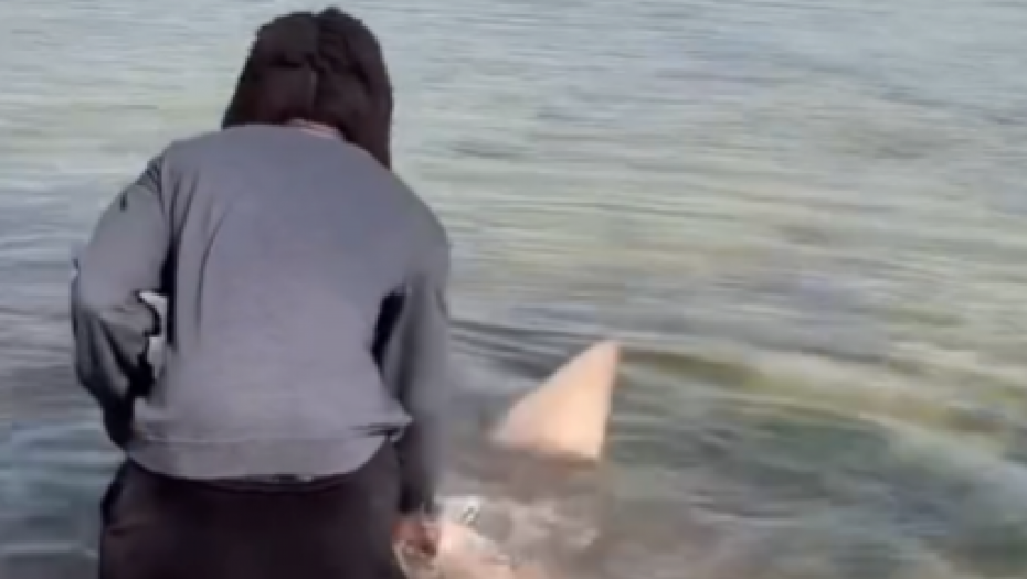 MUŠKARAC GOLIM RUKAMA UHVATIO AJKULU Pozirao uz osmeh, pa izazvao lavinu komentara (FOTO/VIDEO)