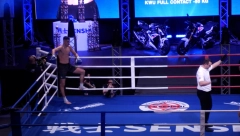 ON JE BRUTALNO "UGASIO" BORCA IZ LAŽNE DRŽAVE Moćne reči Nikole Todorovića za "Sport.alo": Moj zadatak je bio da pokažem kakvi su Srbi
