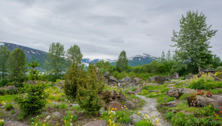 ZOVU IH "HAVAJI U SRBIJI" Okruženi ste planinama, a smeštaj za noć i za 2.300 dinara