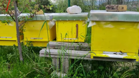 OTKRIVENO 400.00 LAŽNIH KOŠNICA! Država rešena da stane na rep prevarantima