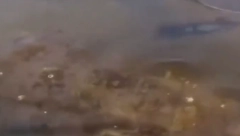 OTKRIVEN IZGUBLJENI GRAD Arheolozi u paršumi nabasali na blago!