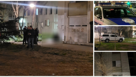 RAZBILI SVETLARNIK, POPELI SE NA 17. SPRAT PA ZAJEDNO OTIŠLI U SMRT Detalji nezapamćene tragedije u Novom Sadu (VIDEO)