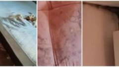 PODSTANARI OSTAVILI BEOGRAĐANKI URNISAN STAN Garnitura izgrižena, dušek sa rupama - plus ogromni dugovi! Snimila sav haos