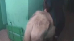 PRINC NA BELOM KONJU U STVARNOM ŽIVOTU Hteo da iznenadi ženu, kad je otvorila vrata ostala bez teksta (VIDEO)