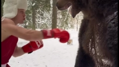 LJUDI U ŠOKU ZBOG SNIMKA KOJI JE OSVANUO NA INTERNETU Mladić za sparing partnera izabrao MEDVEDA! (VIDEO)