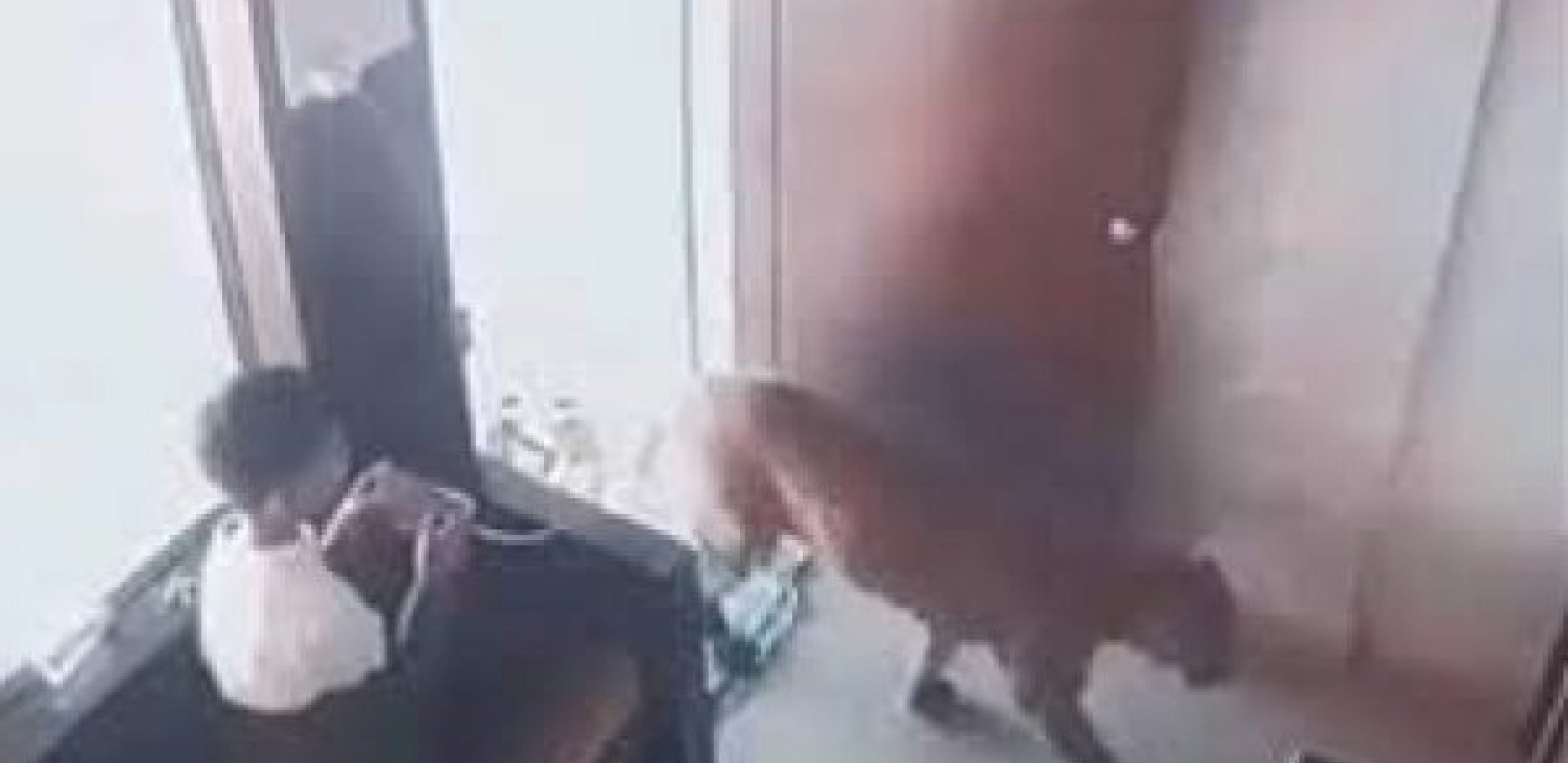 ZVER UŠLA KROZ VRATA, DEČAK SE NAŠAO U OPASNOSTI Snimak koji ledi krv u žilama (VIDEO)