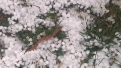 ZA 10 MINUTA SE SVE ZABELELO Grad zasuo Aleksandrovac, napravio haos