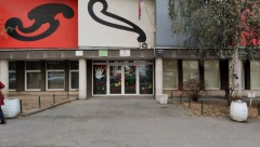 OGLASILA SE DIREKTORKA ŠKOLE "SVETI SAVA"  NA VRAČARU U KOJU JE  UČENIK UNEO NOŽ Evo šta se desilo