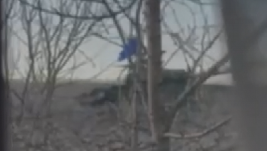 PROUKRAJINSKA RUSKA SLOBODARSKA LEGIJA UŠLA U KURSK I BELGOROD Sa njima su Ruski dobrovoljački korpus i Sibirski bataljon (VIDEO)