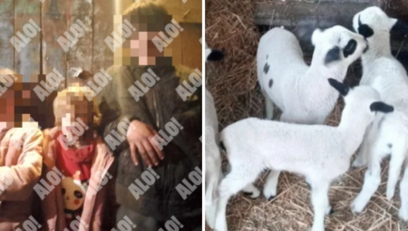 DEČAK KOJI JE ZLOSTAVLJAO JAGANJCE NIJE KRIVIČNO ODGOVORAN Oglasilo se Više javno tužilaštvo