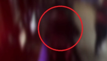 POTUKLE SE DEKICE KOD VALJEVA Kada je ponestalo snage u rukama u napad krenuo motornom testerom