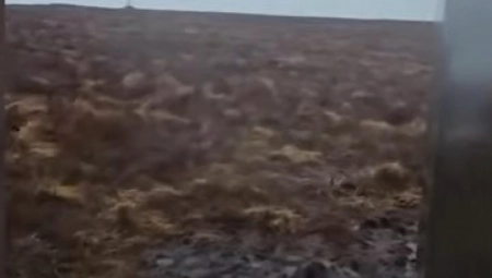 MISTERIOZNI OBJEKAT POTPUNO ZBUNIO ŠETAČE Niko nema pojma ni ko ga je doneo, ni zašto je tu! (VIDEO)