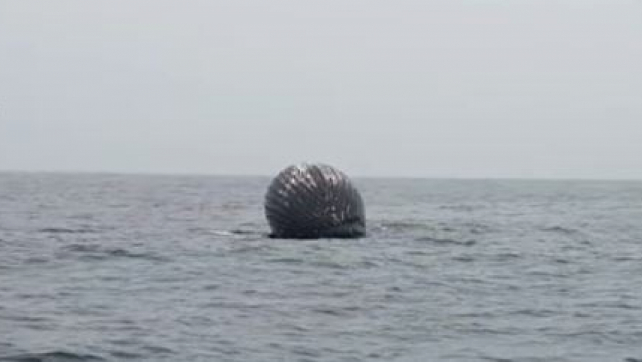 RIBARI NALETELI NA HOROR UNUTAR ARKTIČKOG KRUGA Približili se da vide šta pluta, a onda su počeli da panično beže (VIDEO)