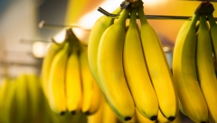 ODLIČAN TRIK ZA ČUVANJE BANANA Evo zašto na pijaci uvek vise na konopcu, bolje da ih tako držite i kod kuće