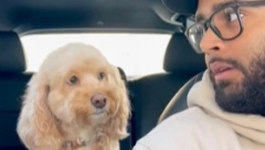 PRAVA JE PAMETNICA Presladak pas radi matematičke zadatke, da vidite samo kako računa!