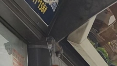 OVO JE NEŠTO NAJODVRATNIJE ŠTO SAM SKORO VIDELA Beograđanka na autobuskoj stanici ostavila iskorišćene.... FUJ, NAROD ZGAĐEN