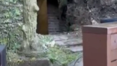 SREĐIVALI DVORIŠTE I ISPOD JEDNE PLOČE PRONAŠLI NEŠTO ČUDNO Ne znaju šta ih je snašlo (VIDEO)