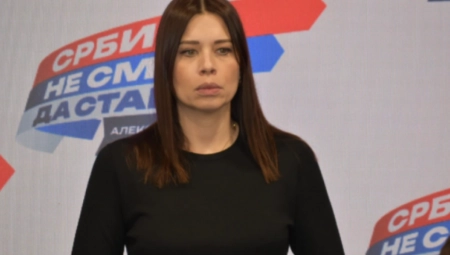 VUJOVIĆ O DEMOKRATSKOJ STRANCI "Najveće dostignuće im je čišćenje budžeta Srbije, nama ostavili otpad da rešavamo"