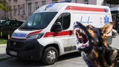 LJUBINKU IZUJEDAO ČOPOR DIVLJIH PASA, ZAMALO DA JOJ ODGRIZU NOGU! Iz apoteke istrčali da joj POMOGNU: "Raskomadaće neko dete tako"