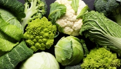 OVO POVRĆE RETKO JEDEMO A LEKOVITO JE Sprečava oboljevanje i od najtežih bolesti