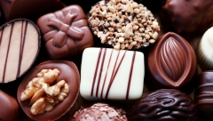 NOVOSAĐANI EKSPERIMENTIŠU SA ČOKOLADOM OD CRVA! Da li biste se usudili da probate?