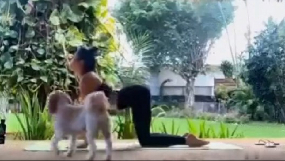 ZAPOČELA JUTARNJI TRENING JOGE, A ONDA SE POJAVILA OVA ZVER Hit video izazvao salve smeha na društvenim mrežama!