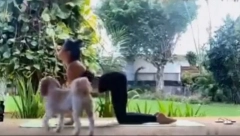 ZAPOČELA JUTARNJI TRENING JOGE, A ONDA SE POJAVILA OVA ZVER Hit video izazvao salve smeha na društvenim mrežama!