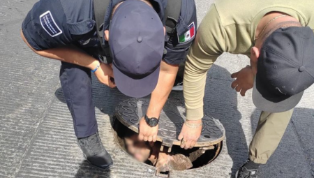 BIO ZAROBLJEN U KANALIZACIJI 4 DANA Policija ga našla gladnog i izmučenog, sam sišao, pa se izgubio (FOTO)
