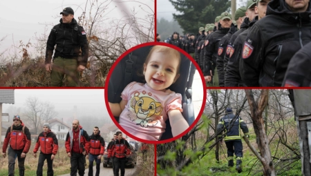 TVRDILI DA SU POVEZANI S NESTANKOM DANKE (2) Uhapšene tri osobe u BiH