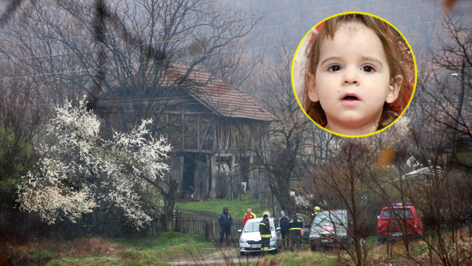 "OVA MOGUĆNOST JE RAVNA NULI" Ako Danka (2) luta sama po šumi punoj divljači... progovorio upravnik lovišta
