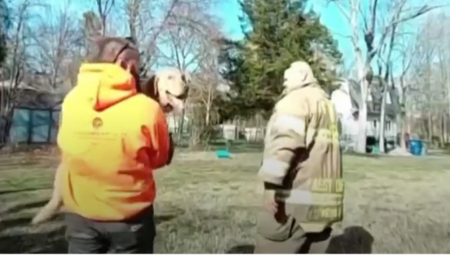 PANIČIO JE, NIJE MU BILO SPASA Pogledajte kako vatrogasci spasavaju psa koji se zaglavio u točku (VIDEO)