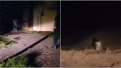 "ISPUŠTALA JE ČUDNE ZVUKOVE..." Policajci pozvani da dođu na groblje, a tamo ih sačekala jeziva scena (VIDEO)
