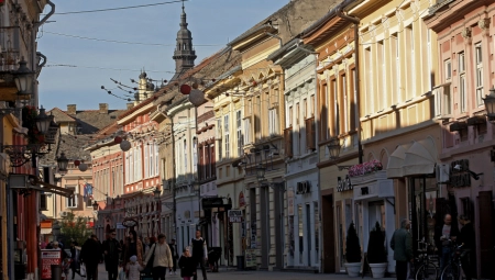 POSAO SE NAĐE NA MREŽAMA I PREKO PREPORUKE, ZARADA 700 DINARA PO SATU: Ovaj posao u NS je sve popularniji