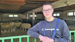 ĐACI NAPRAVILI FARMU SVINJA I GOVEDA Ova deca sama proizvode ono što pojedu, a šta ostane prodaju