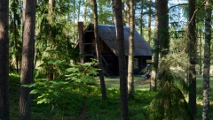 KUĆA NA PRODAJU ZA 300.000 DINARA, SVI SU MISLILI DA JE ŠALA! Srbin nudi 50 kvadrata i ambar, evu u ČEMU je caka!