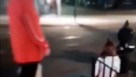 "UGLEDAO SAM DETE KOJE SE OTIMA I VIČE" Evo kako je Srbin iz Beča opisao snimak na kojem se navodno vidi mala Danka