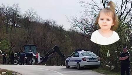 POSTOJE 2 SCENARIJA AKO JE DANKA OTETA ILI TIPOVANA Stručnjaci upozorili: Transakcije su MILIONSKE, uključeno je MNOGO ljudi