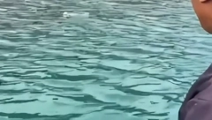 SNIMAK KOJI ĆE VAM IZMAMITI SUZE U led ledenoj vodi spazili psa kako se koprca (VIDEO)