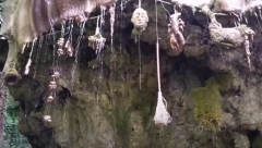 SNIMLJEN UKLETI IZVOR Ko sa njega pije vodu pretvara se KAMEN! Veruje se da je ovde rođena ćerka nečastivog (VIDEO)