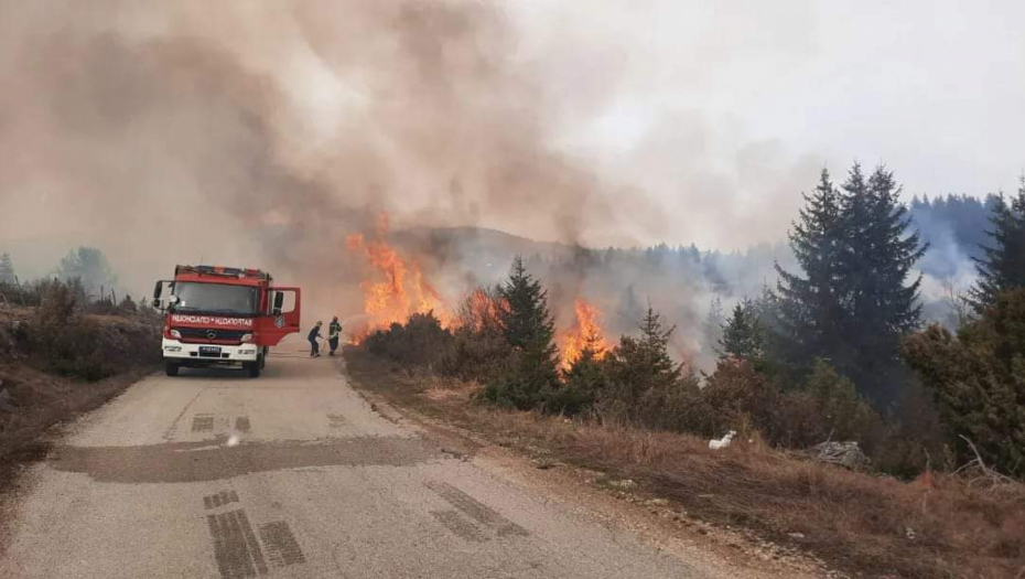UGAŠEN ŠUMSKI POŽAR KOD PRIJEPOLJA - Vatrogasci se borili sa vatrom više od deset sati