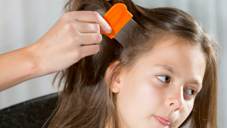 REŠILA SE VAŠKI JEDNOSTAVNIM UREĐAJEM Mama šokirala internet trikom za ubijanje dosadnih buba, a evo šta kažu stručnjaci