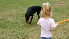 DOBERMAN SKOČIO NA DETE A reakcija vlasnice razbesnela sve