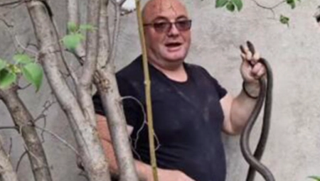 VLADICA OBJAVIO GDE JE OTKRIO DVE OGROMNE ZMIJE "Morali smo da bušimo rupe" - Ne zna se čak koliko su tamo bile