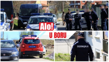 ŠTA SVE ZNAMO O SLUČAJU NESTALE DEVOJČICE IZ BORA? O snimku iz Beča, obrisanim porukama iz telefona majke