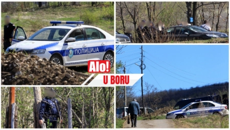 JEZIVA ATMOSFERA U BORU NAKON TRAGIČNE VESTI O DANKI Alo! na licu mesta: "To ljudski um ne može da pojmi!"