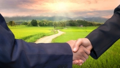 Prodaje se jedini hotel na ovom hrvatskom ostrvu: 155 soba, velnes centar, bazen - i sve u srcu prirode! (FOTO)