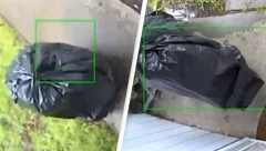 ĐUBRE LOPOVSKO Prerušio se u kesu, pa krenuo da krade po komšiluku (VIDEO)