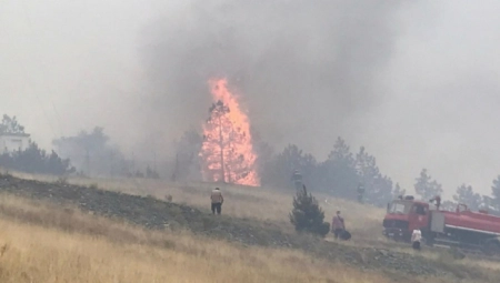 VELIKI  POŽAR NA ZLATIBORU Plamen se širi, zahvatio livade, vatrogasci se bore da ne ode na šumu