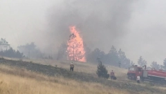 VELIKI  POŽAR NA ZLATIBORU Plamen se širi, zahvatio livade, vatrogasci se bore da ne ode na šumu