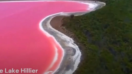 REŠENA MISTERIJA RUŽIČASTOG JEZERA Evo zbog čega je zapravo roze! (VIDEO)